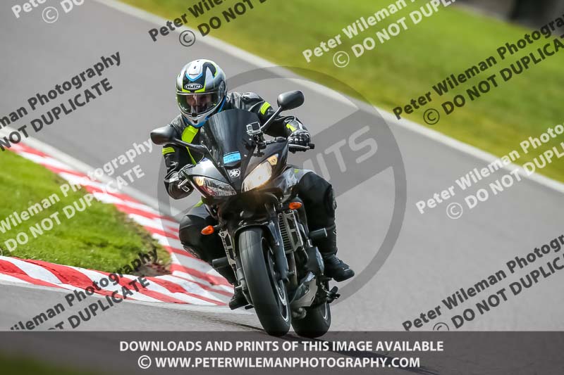 Oulton Park 21st March 2020;PJ Motorsport Photography 2020;anglesey;brands hatch;cadwell park;croft;donington park;enduro digital images;event digital images;eventdigitalimages;mallory;no limits;oulton park;peter wileman photography;racing digital images;silverstone;snetterton;trackday digital images;trackday photos;vmcc banbury run;welsh 2 day enduro